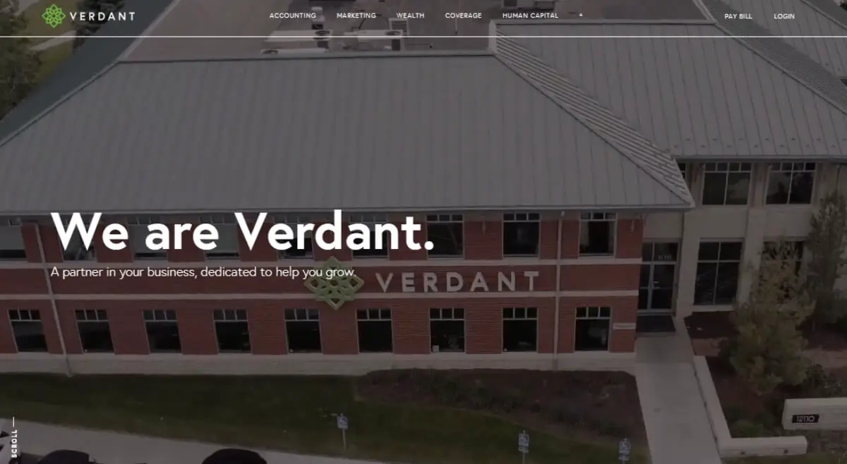 accounting website verdant.jpg