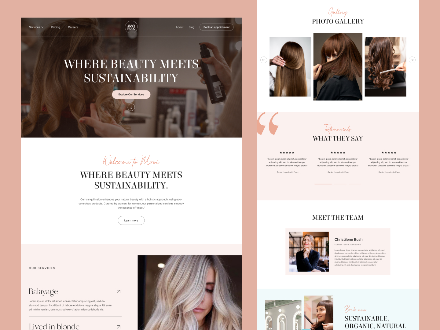 Website Design 3