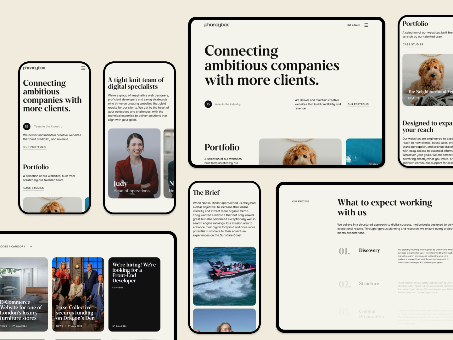 Website Design 48