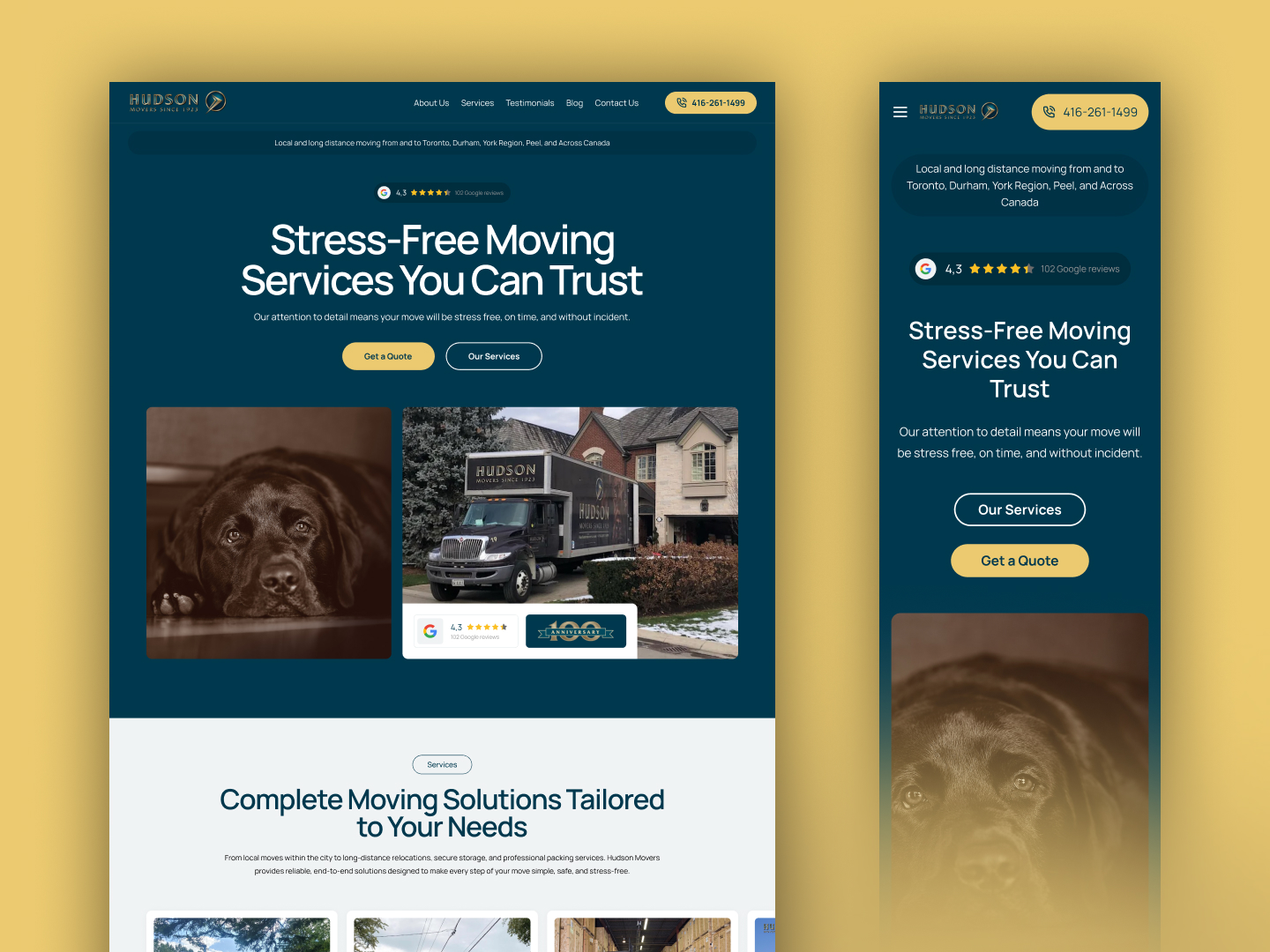 Website Design 65