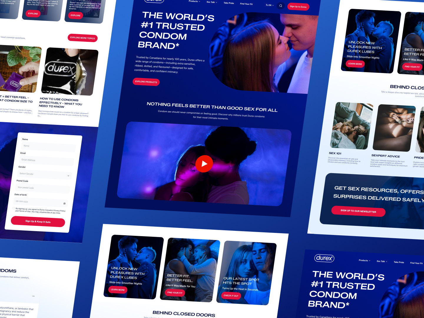 Website Design 55
