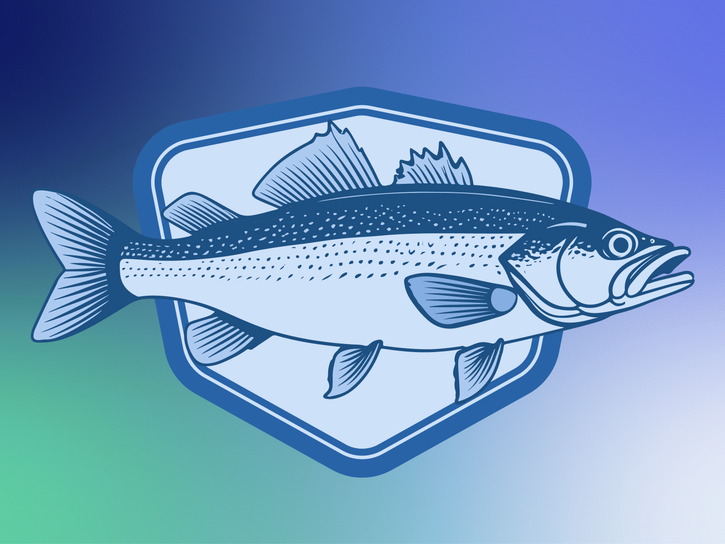 Illustrations 49