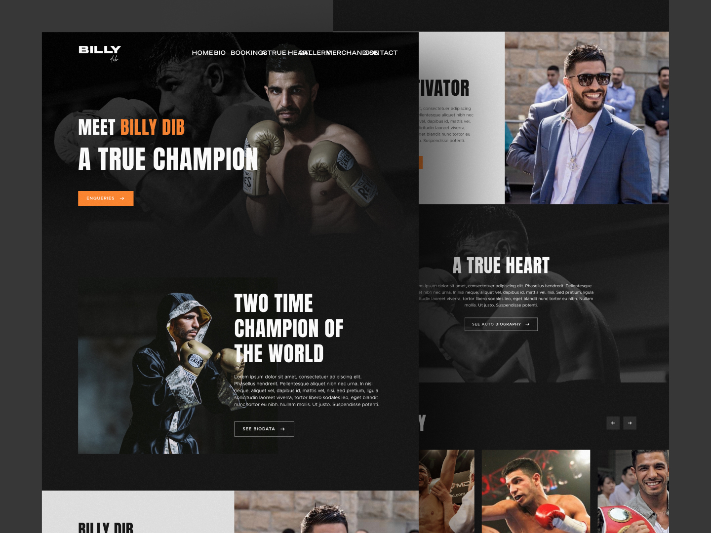 Landing pages 24