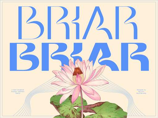 briar neue vintage font.png