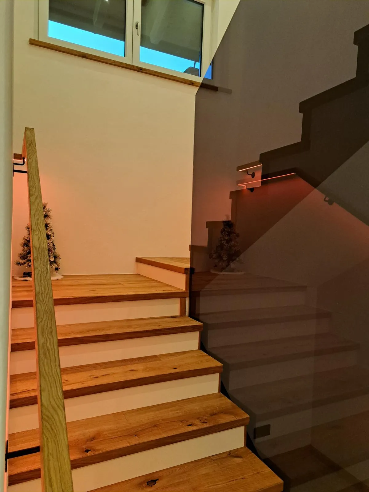 Innertreppe aus Holz mit Glaspaneel-Geländer und kleinem dekorativem Tannenbaum am oberen Absatz.