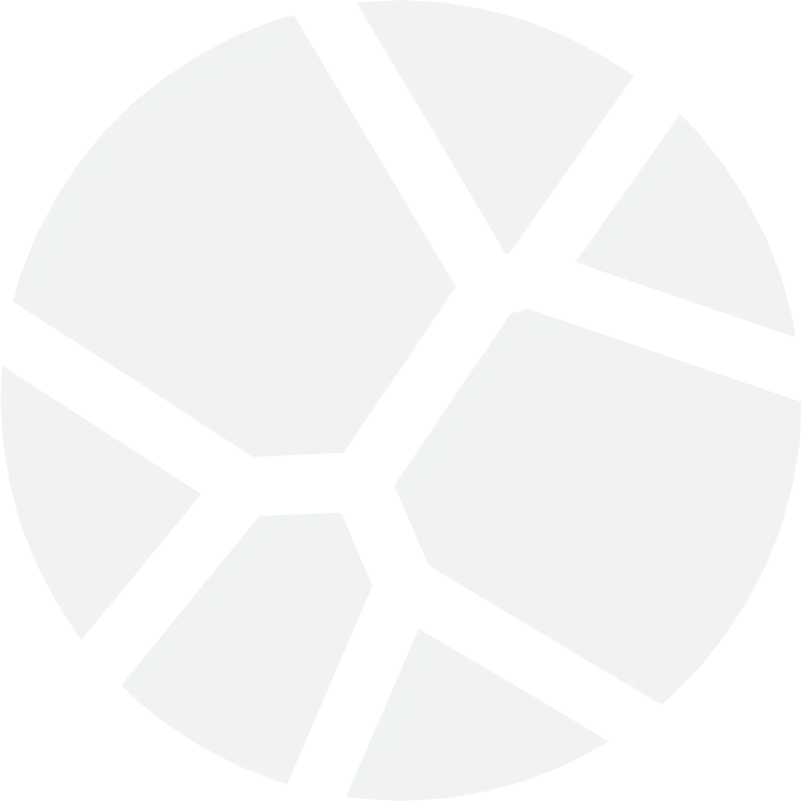 Valkoinen ympyrä mustilla viivoilla, jotka luovat verkkomaisen kuvion.