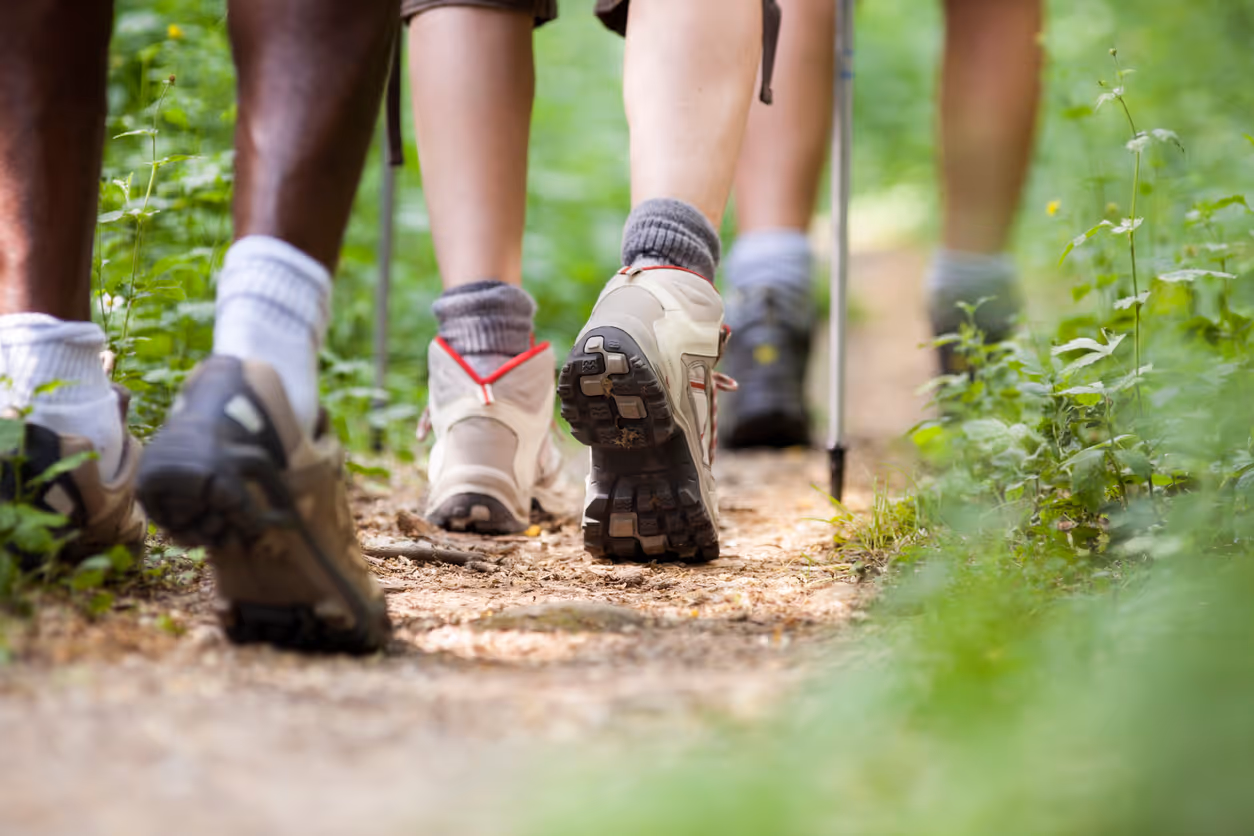 Ramblers Wellbeing Walks: Hobs Moat Library