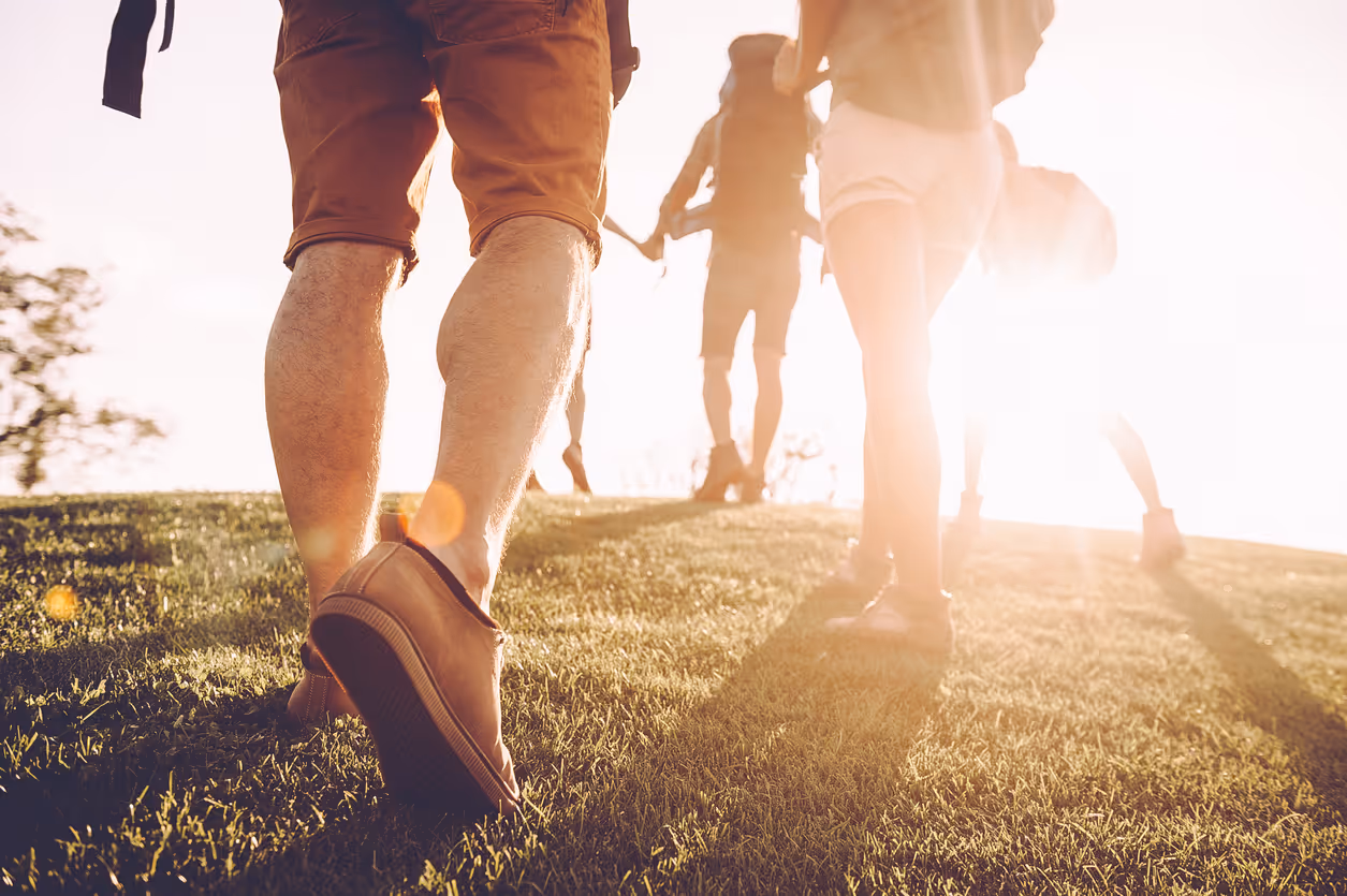 Ramblers Wellbeing Walks: Shirley Library