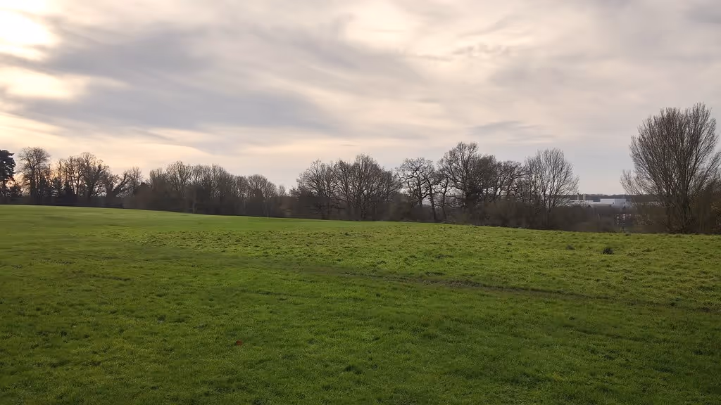 Elmdon Park Walk (Elmdon Park Support Group)