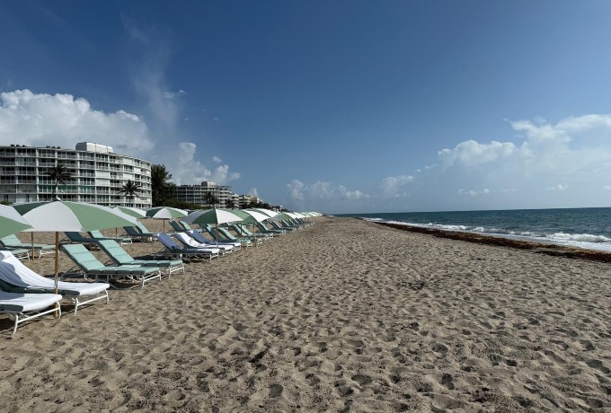 Beach at Four Seasons Resort Palm Beach with neatly arranged sunloungers facing the ocean