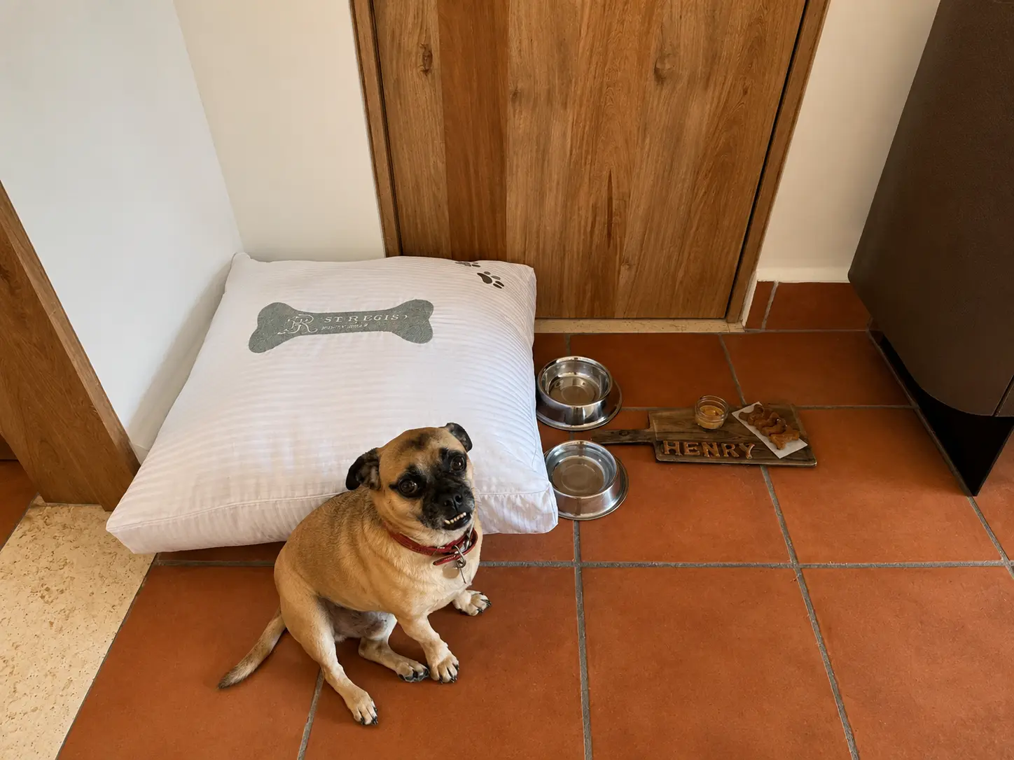 Dog welcome amenity at The St. Regis Punta Mita featuring a luxury pet bed, water bowls, personalized treats, and a small dog relaxing beside the bed.