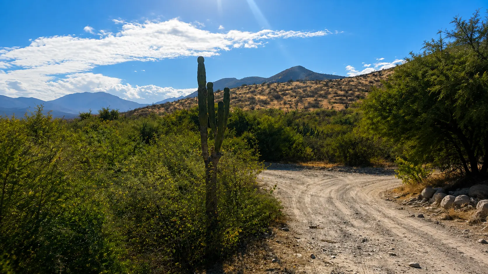 Hiking in the East Cape near Four Seasons Resort Los Cabos at Costa Palmas