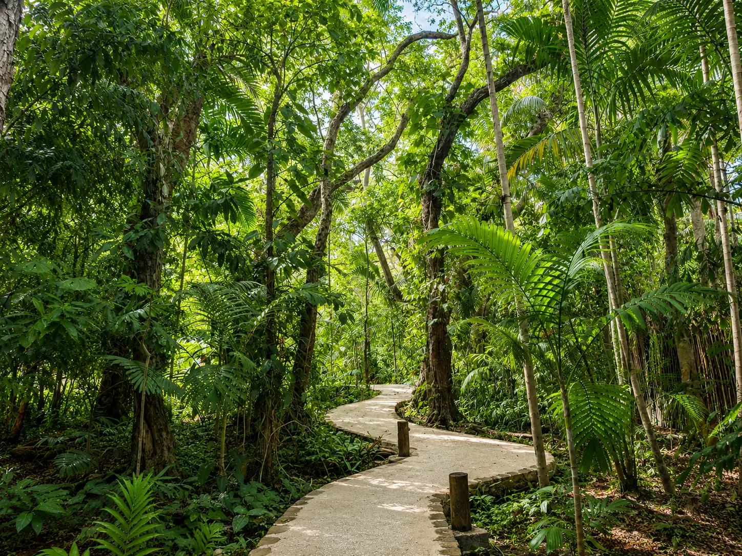 Tropical garden pathways connecting the villas and cottages at GoldenEye Jamaica in Oracabessa.