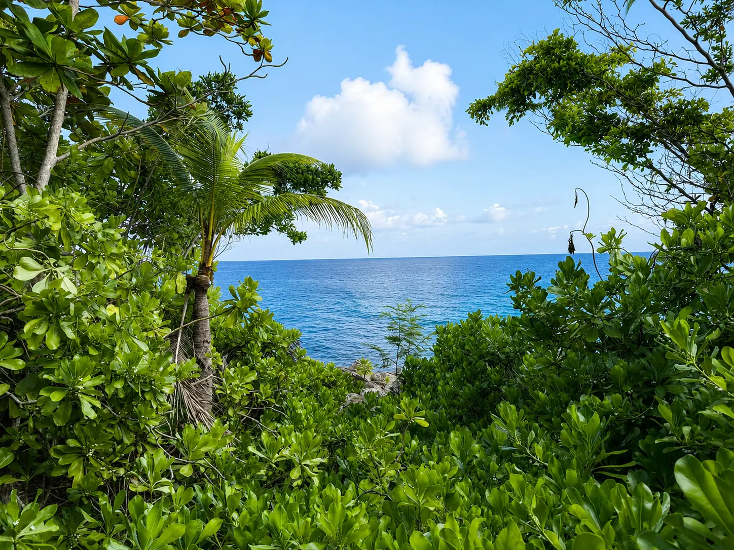 Caribbean Sea view through tropical gardens at GoldenEye Jamaica in Oracabessa.