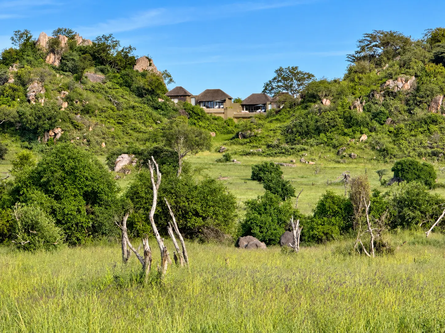 View of a One-Bedroom Villa at Four Seasons Safari Lodge Serengeti from the surrounding Serengeti plains in Tanzania.
