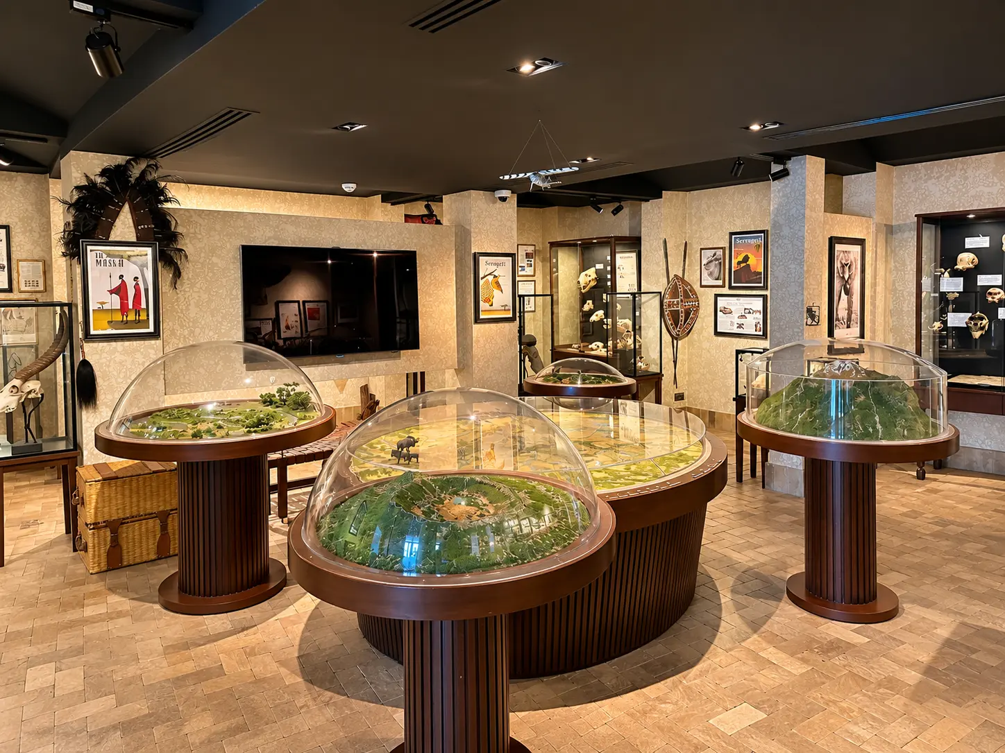 Discovery Centre at Four Seasons Safari Lodge Serengeti with interactive displays, wildlife exhibits and models of the Serengeti ecosystem.