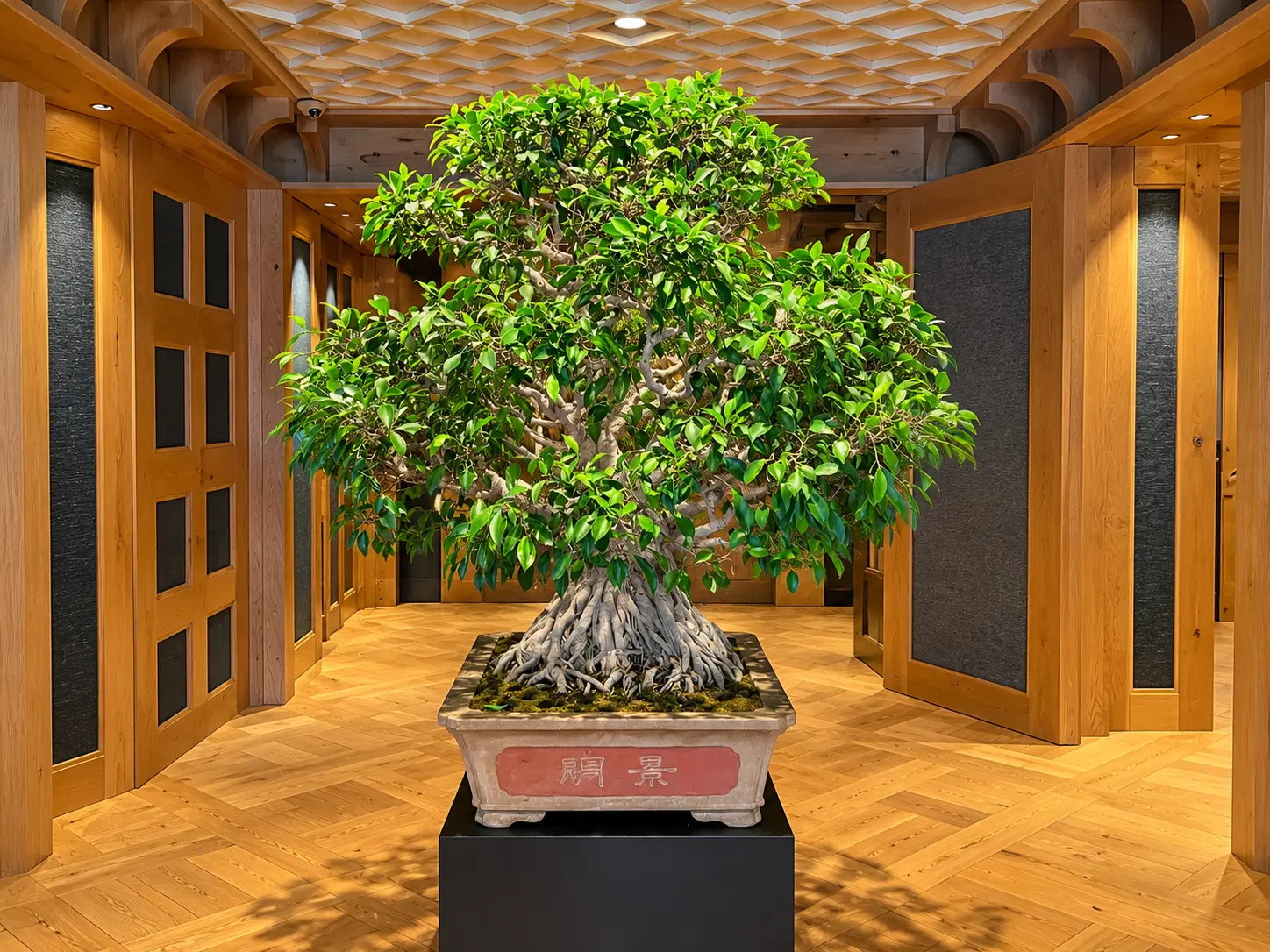 Large bonsai tree surrounded by warm timber interiors inside Aman Le Mélézin in Courchevel 1850.