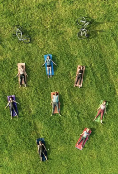 Aerial view of people relaxing on a grassy lawn