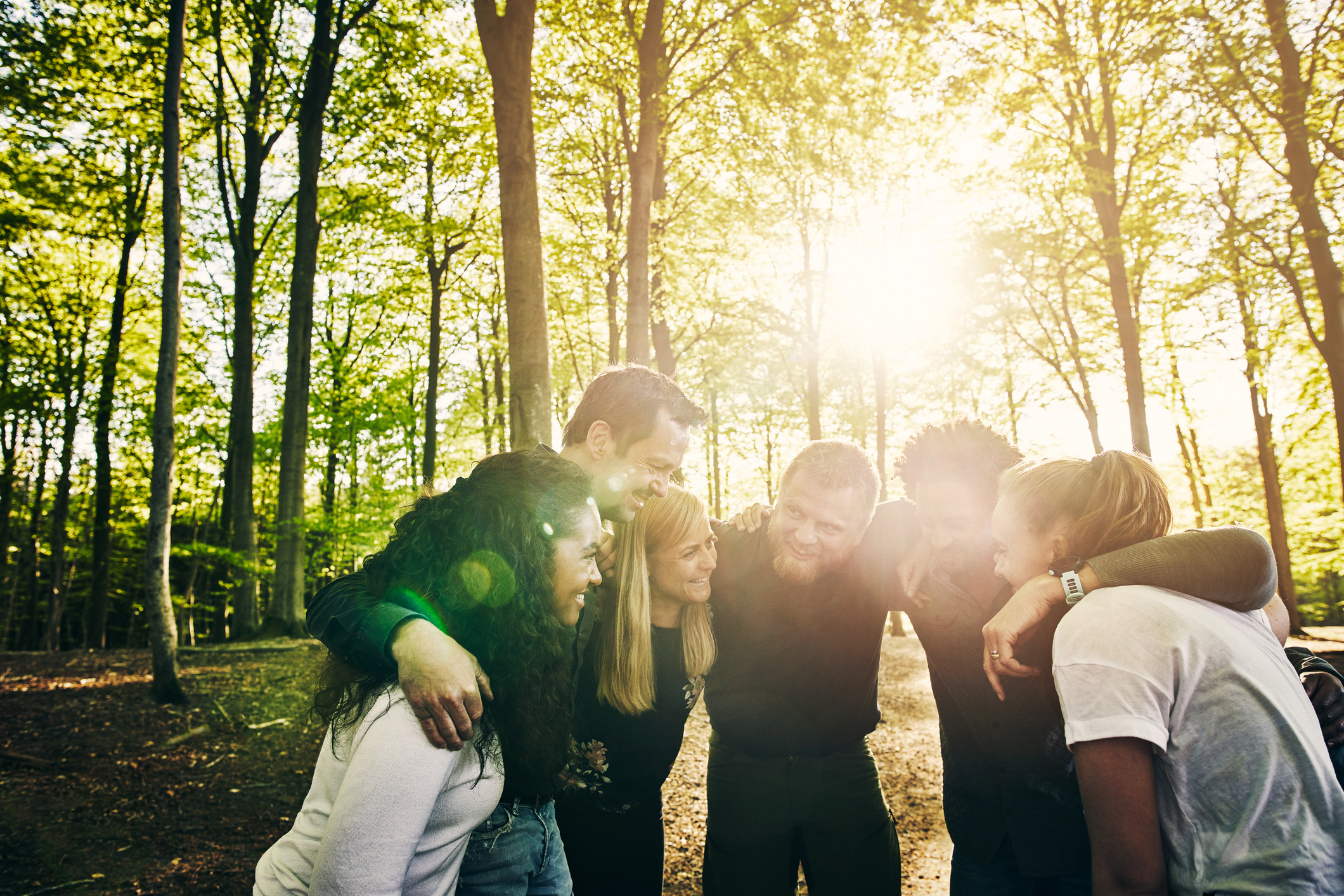A team united in a bright forest