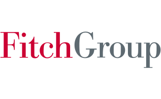 Fitch Group company logo