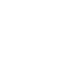 White Instagram logo on a transparent background.