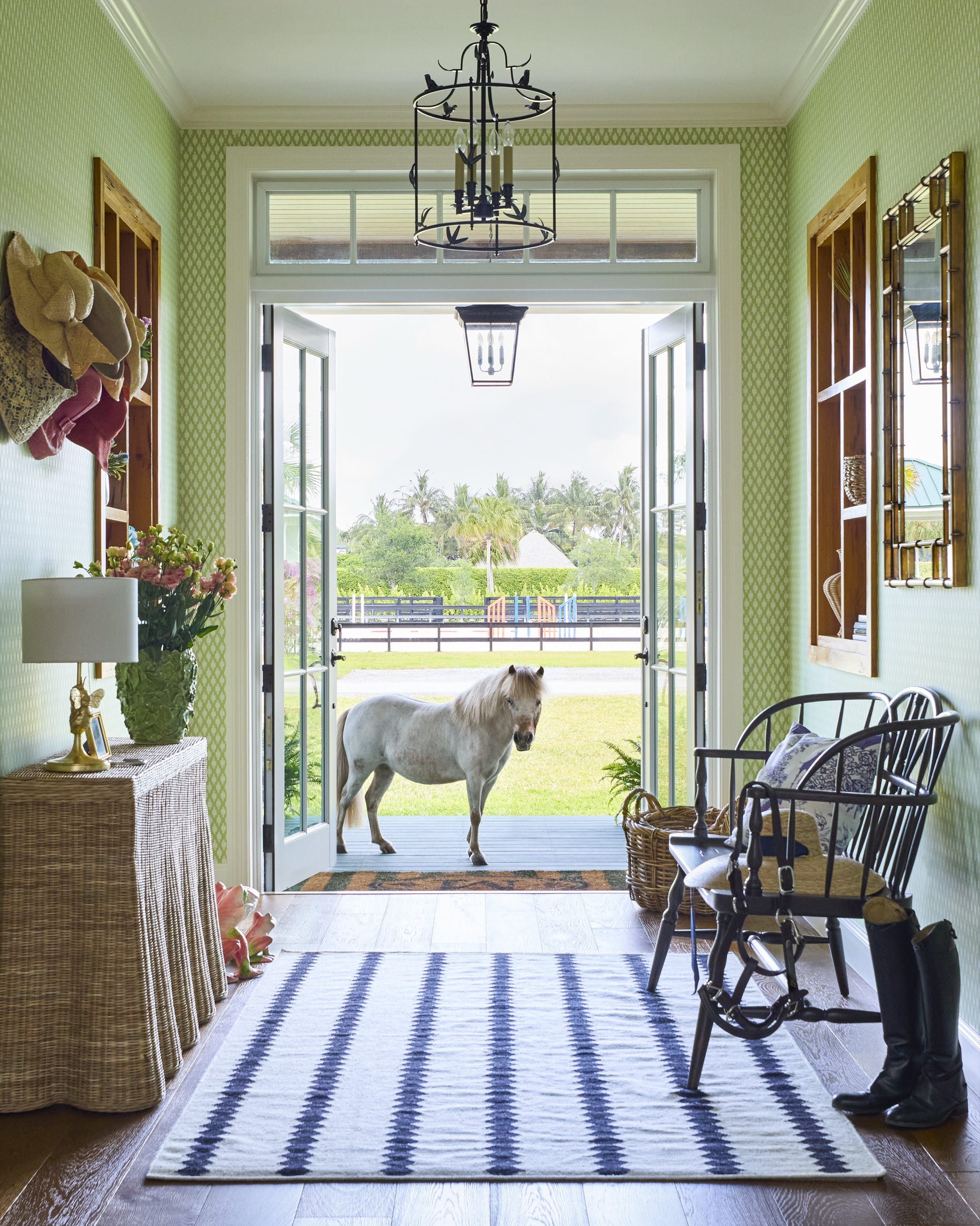 Miniature white horse standing at open double doors of a green-walled room with wicker furniture and decor.