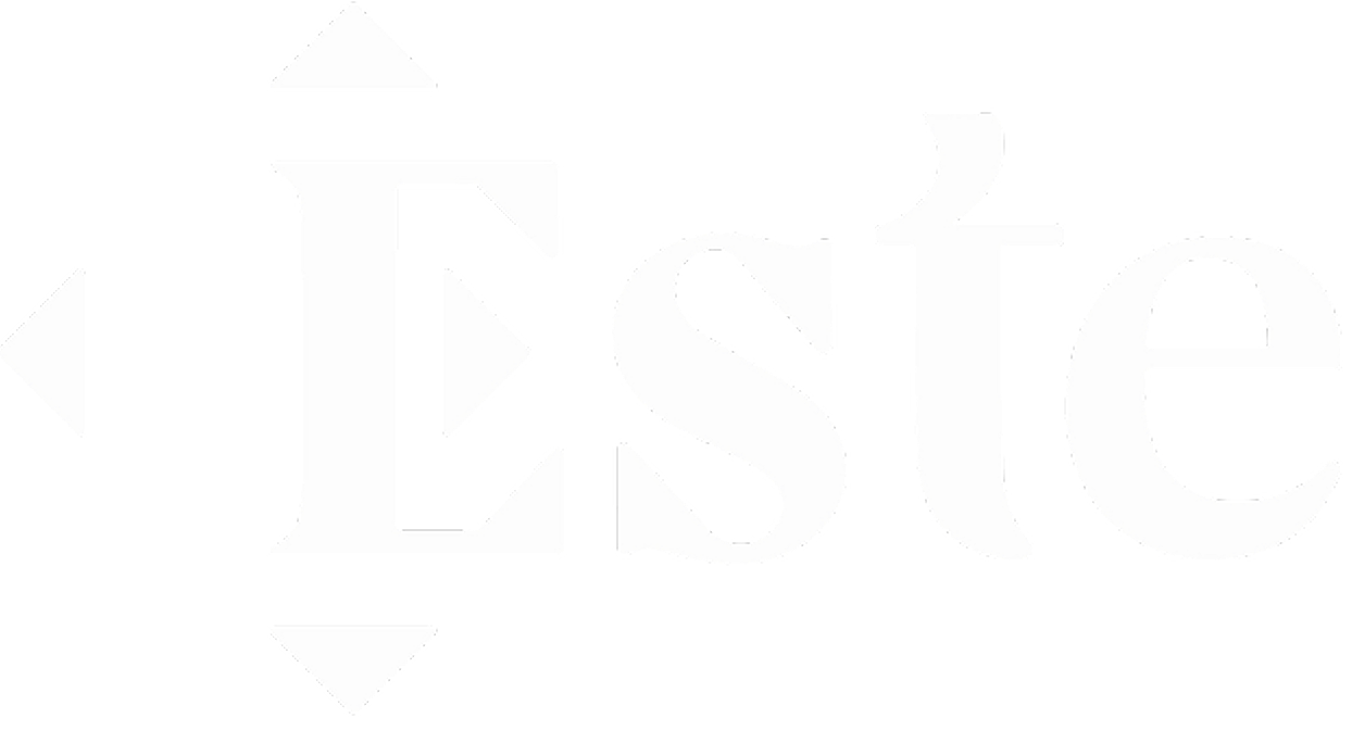 White stylized letter 'E' with four directional arrows around it, followed by letters 'ste'.
