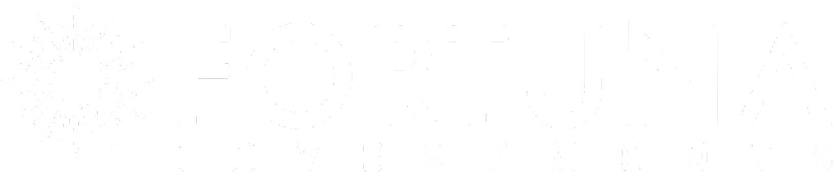 Fortuna Investments logo with stylized sunburst symbol to the left of the text.