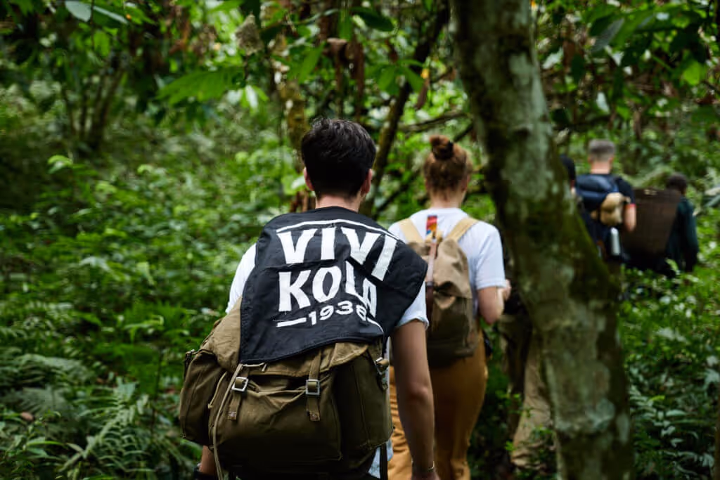 Das Vivi Kola Team auf der Suche nach dem Kola Baum