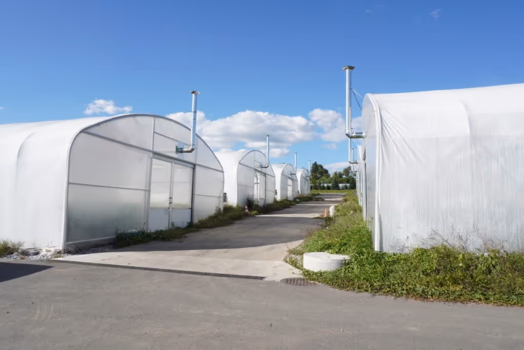 Gewächshäuser auf dem Bio-Bauernhof Müller in Steinmaur