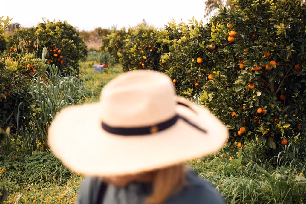 Vivi Soda, Vivi Kola Foto