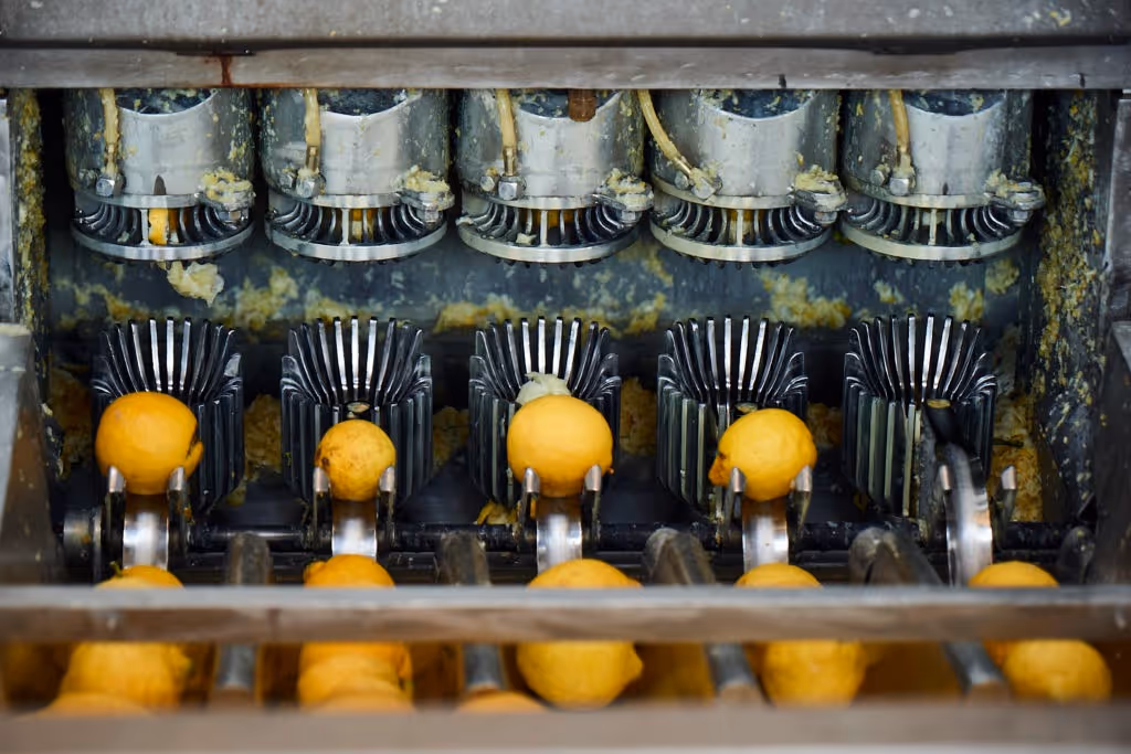 Vivi Kola, Vivi Soda