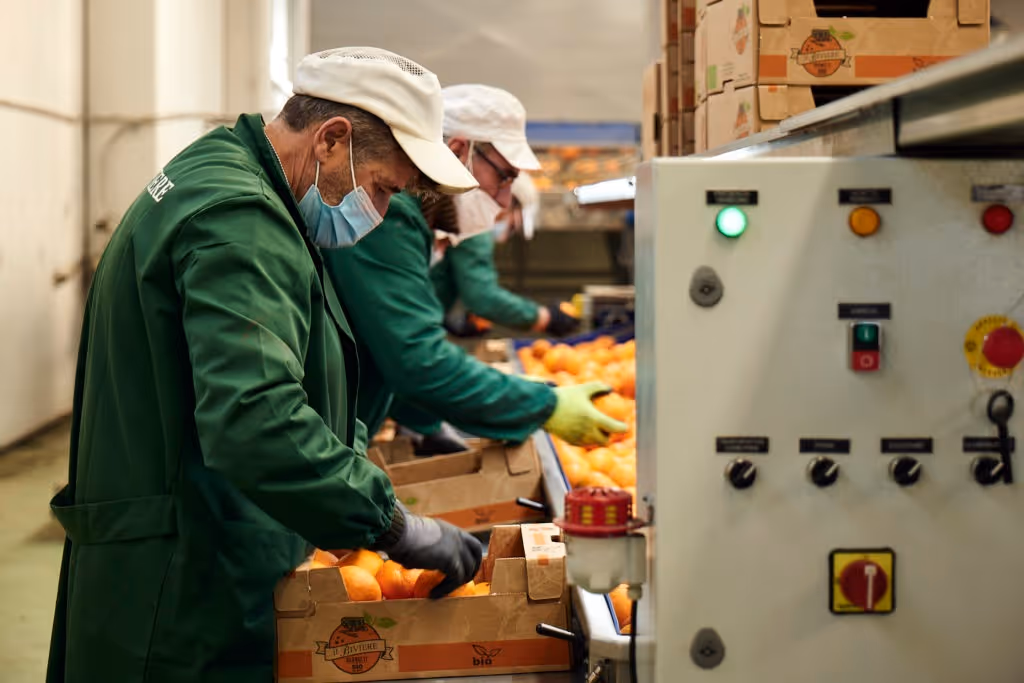 Vivi Kola, Vivi Soda