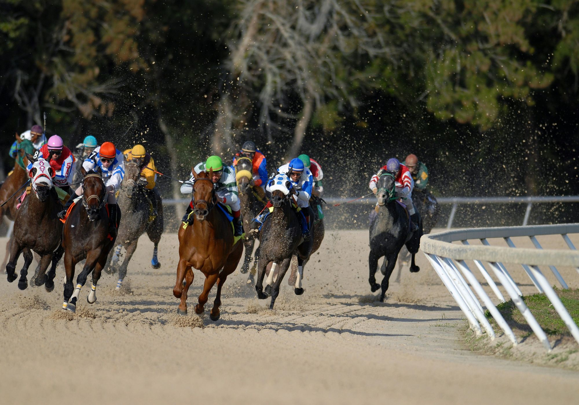 image of Robin Taylor at a press conference