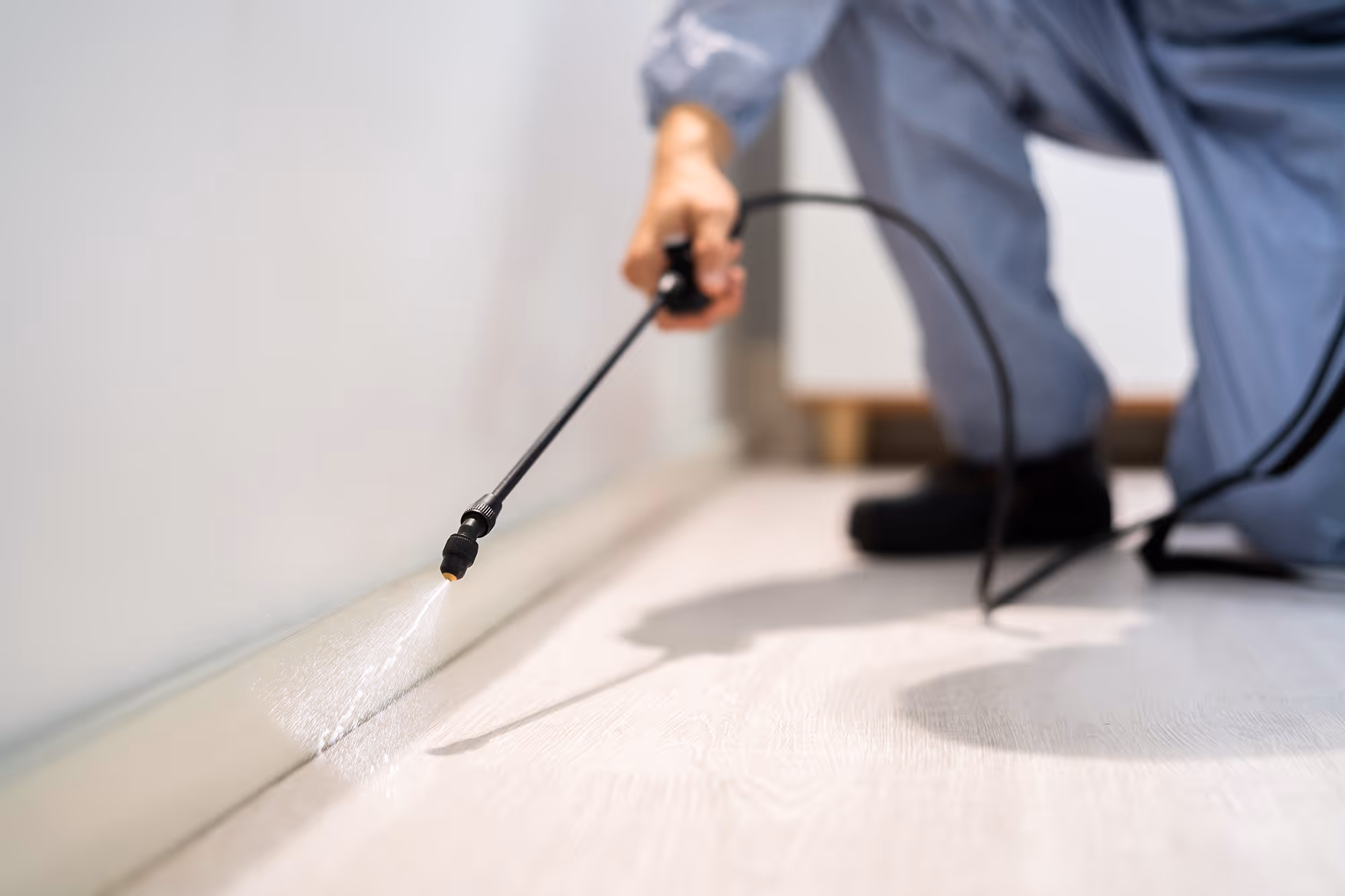 image of a house inspection