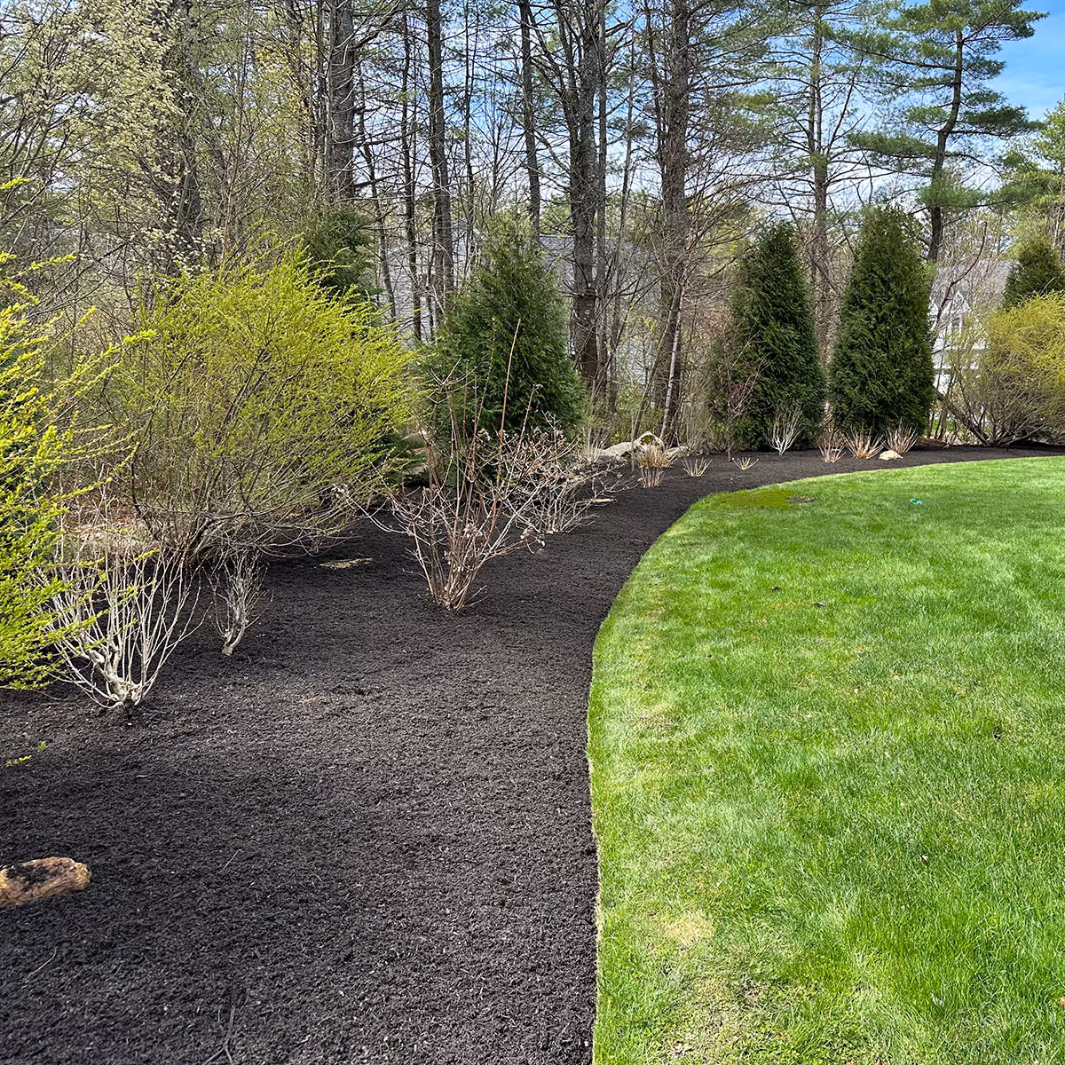Mulch installation services Maine for clean, professionally maintained landscape beds 