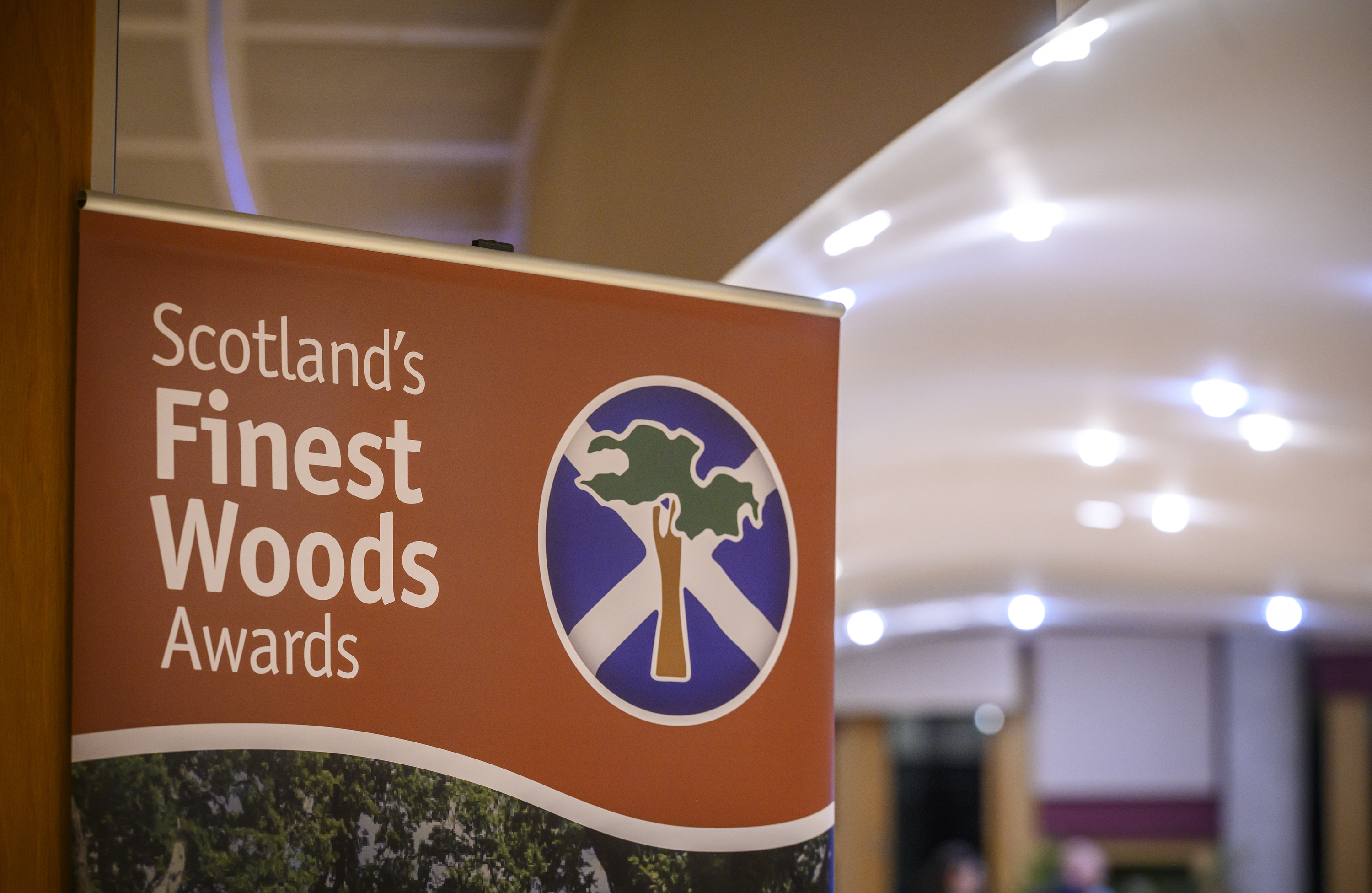 Be a tree champion – Scotland’s Finest Woods opens applications for new Executive Director and Trustees 