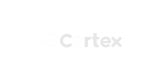 Cortex Analyzer