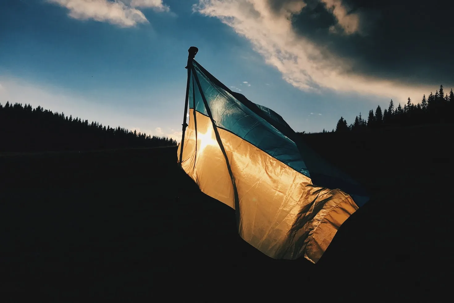 Ukrainian flag in the sunset, with a forest background.