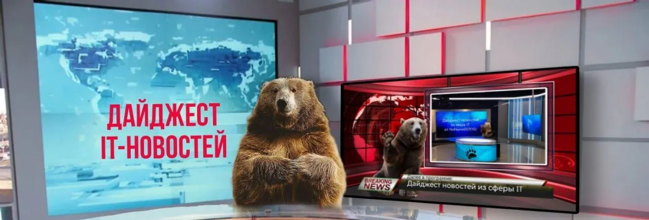 bear sitting in a news room