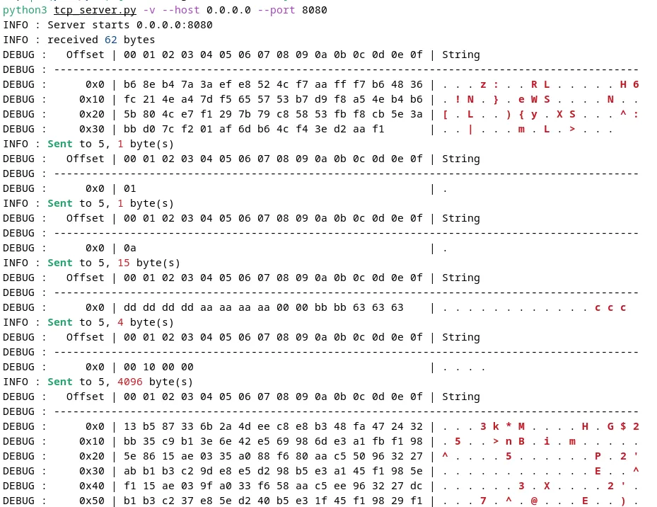 Extract of the TCP communication between the sample and the fake C2 server