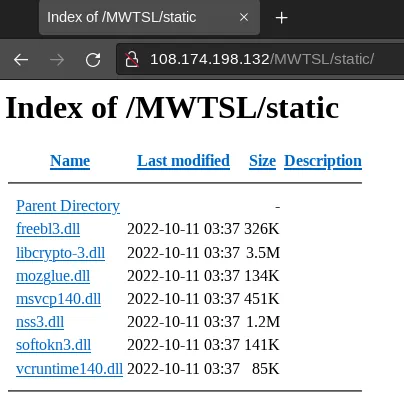 Hosted DLLs under /static/ web directory