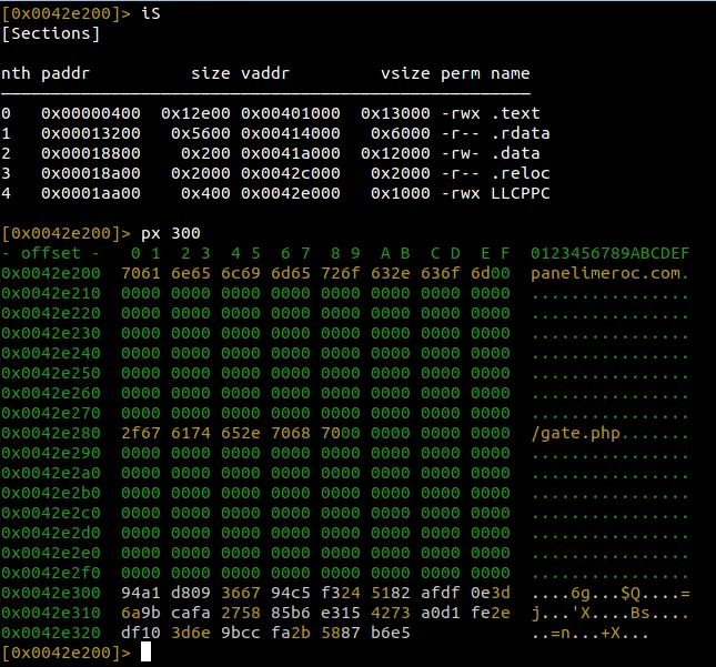 Radare2 dump of LLCPPC section with C2 in clear text