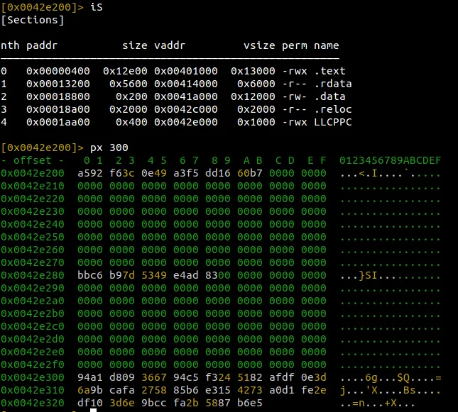 Radare2 dump of LLCPPC section with C2 obfuscated