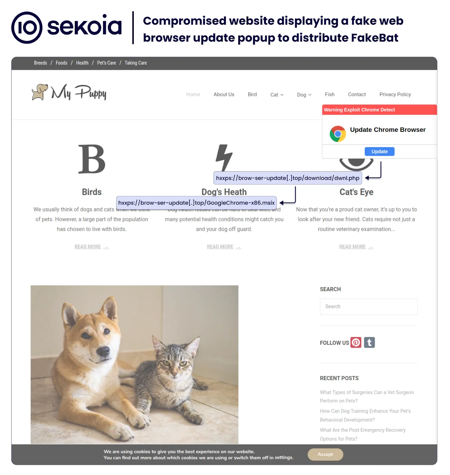 Figure showing a compromised pet-care website with a fake Chrome browser update popup and an “Update” button used to distribute FakeBat.