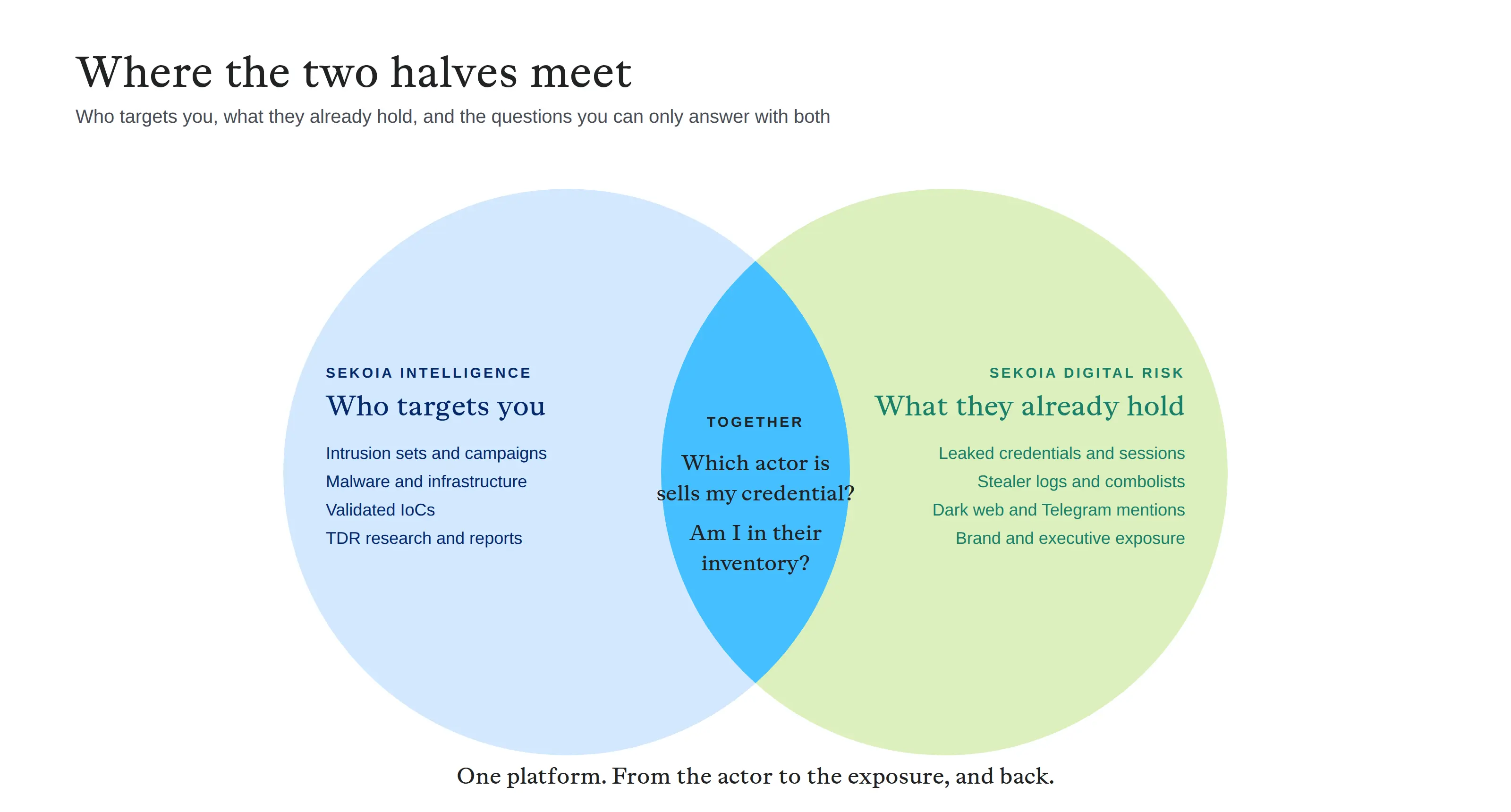 Venn diagram showing how Sekoia Intelligence identifies who targets an organization through intrusion sets, malware, infrastructure and validated IoCs, while Sekoia Digital Risk shows what threat actors already hold through leaked credentials, stealer logs, dark web mentions and brand exposure. The overlap answers which actor is selling a credential and whether the organization is in their inventory.
