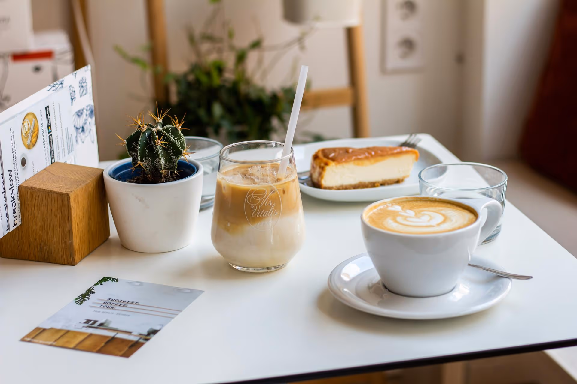 A cozy cafe table with a cactus plant, a glass of iced latte, a slice of cheesecake on a plate, and a cup of cappuccino with latte art. Relaxing ambiance.