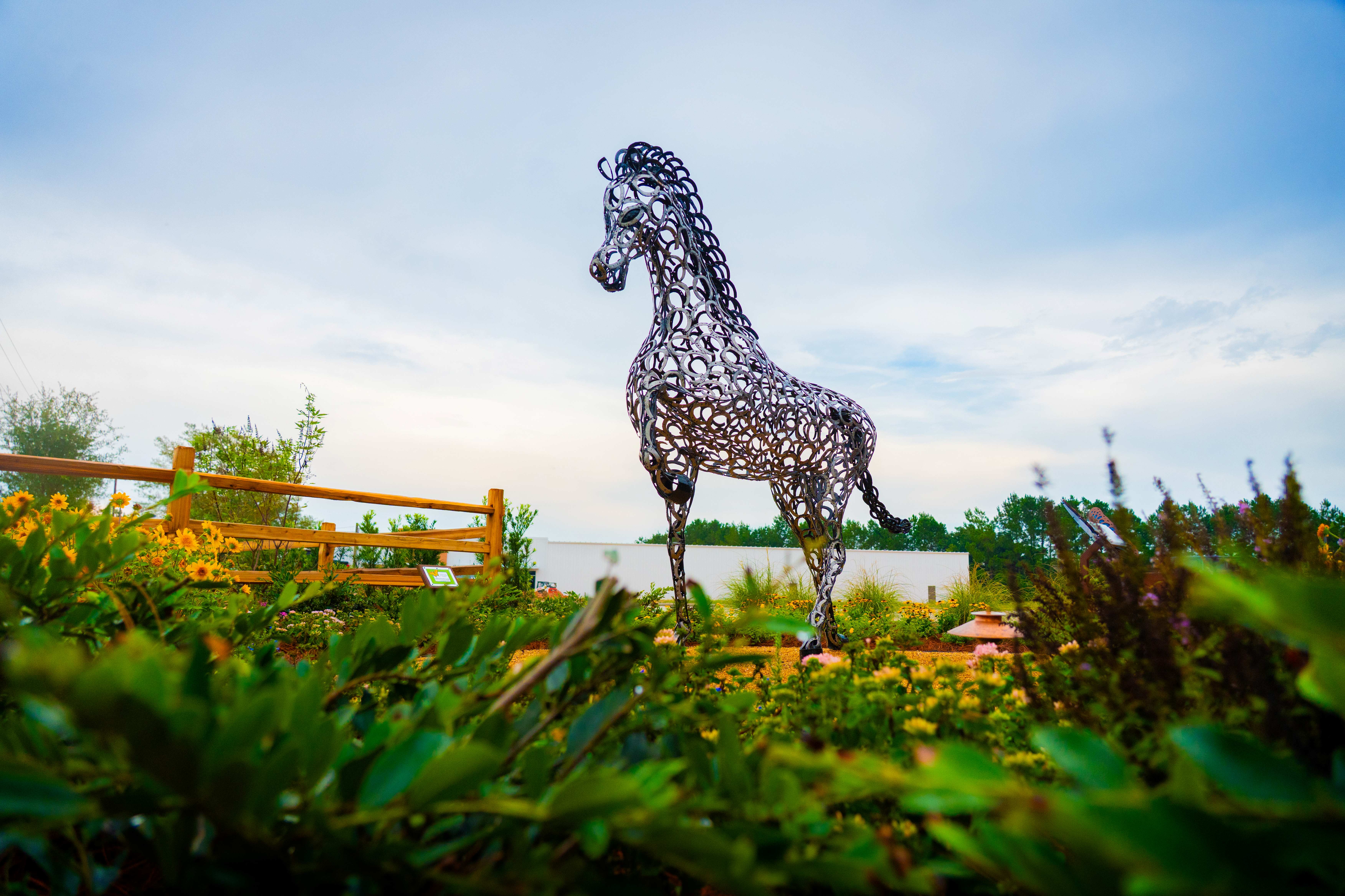 Horse In Butterfly Garden at Dusk