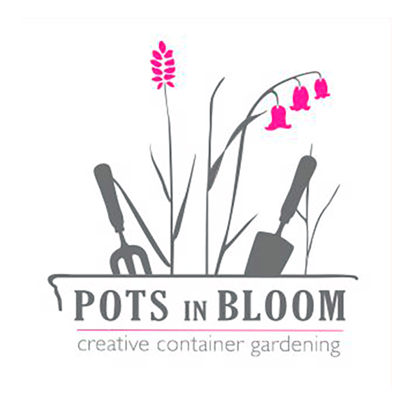 Pots in Bloom