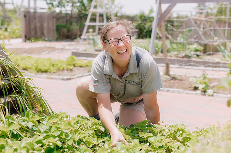 Curated Chef Garden with seasonal herbs, fruits, and vegetables at The Inn, Chesapeake Bay Beach Club, Kent Island